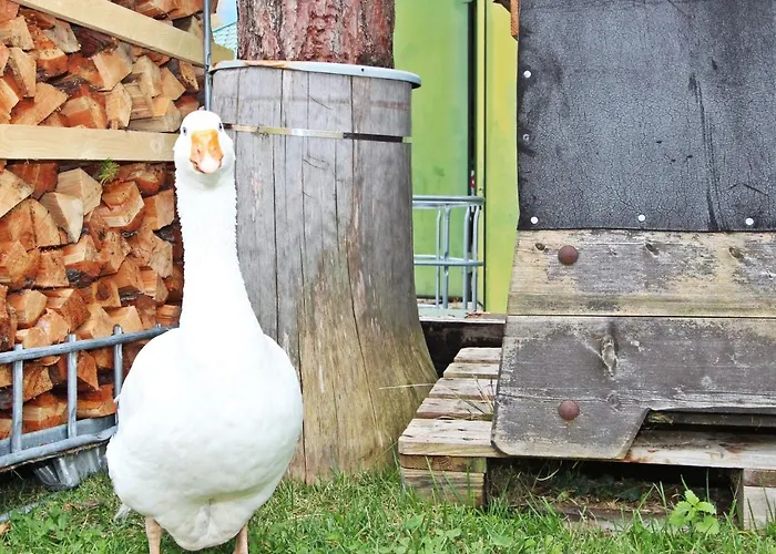 Renauer By Interhome アパート Mösern