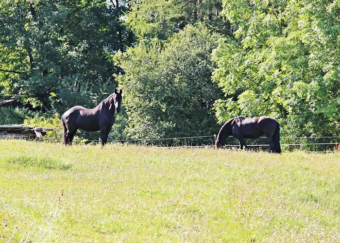 Renauer By Interhome Апартаменты Мёзерн