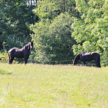 Renauer By Interhome 公寓 Mösern